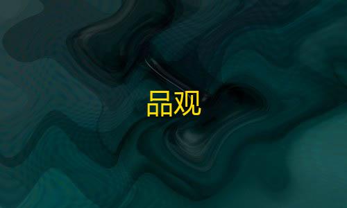 暗区突围穿墙插件品观