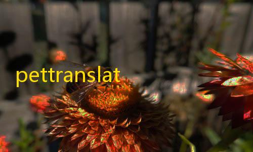 暗区突围透视辅助pettranslator动物语言翻译器